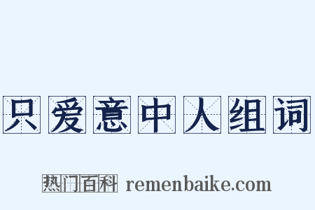 只爱意中人组词是什么意思的图片